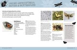  LITTLE LEARNING LABS: BUGS FOR KIDS: 20+ FAMILY-FRIENDLY ACTIVITIES FOR EXPLORING THE AMAZING WORLD OF BEETLES, BUTTERFLIES, SPIDERS, AND OTHER ARTHROPODS 