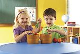  NEW SPROUTS® BUSHEL OF FRUIT 