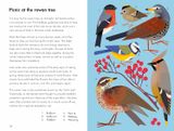  WHAT TO LOOK FOR IN EVERY SEASON : A LADYBIRD BOOK BOXSET 