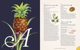  THE COMPLETE LANGUAGE OF FOOD: VOLUME 10 : A DEFINITIVE AND ILLUSTRATED HISTORY 