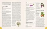  THE COMPLETE LANGUAGE OF FOOD: VOLUME 10 : A DEFINITIVE AND ILLUSTRATED HISTORY 