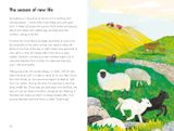  WHAT TO LOOK FOR IN EVERY SEASON : A LADYBIRD BOOK BOXSET 