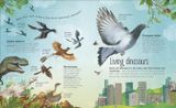  THE EXTRAORDINARY WORLD OF BIRDS 