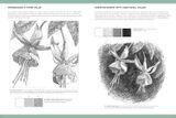  STEP-BY-STEP STUDIO: DRAWING CONCEPTS: A COMPLETE GUIDE TO ESSENTIAL DRAWING TECHNIQUES AND FUNDAMENTALS 