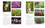  FIELD GUIDE TO OUTSIDE STYLE : DESIGN AND PLANT YOUR PERFECT OUTDOOR SPACE 