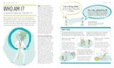  PRACTICAL MINDFULNESS 