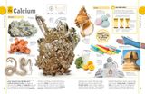  THE PERIODIC TABLE BOOK 