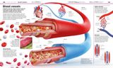  KNOWLEDGE ENCYCLOPEDIA HUMAN BODY! 