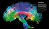  KNOWLEDGE ENCYCLOPEDIA HUMAN BODY! 