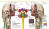  KNOWLEDGE ENCYCLOPEDIA HUMAN BODY! 