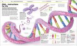  KNOWLEDGE ENCYCLOPEDIA HUMAN BODY! 