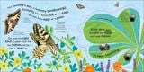  RHS HOW DOES A BUTTERFLY GROW? 