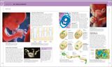  THE SCIENCE OF PREGNANCY 