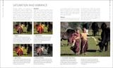  DIGITAL PHOTOGRAPHER'S HANDBOOK 