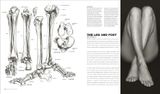 ANATOMY FOR THE ARTIST 