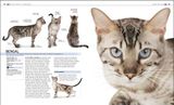 THE COMPLETE CAT BREED BOOK : CHOOSE THE PERFECT CAT FOR YOU 