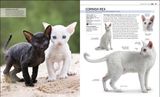  THE COMPLETE CAT BREED BOOK : CHOOSE THE PERFECT CAT FOR YOU 