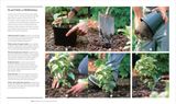  RHS HOW TO GARDEN NEW EDITION : A PRACTICAL INTRODUCTION TO GARDENING 