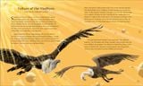  BIRDS AND BEASTS 