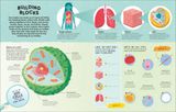  HUMAN BODY: OVER 100 BRAIN-BOOSTING ACTIVITIES THAT MAKE LEARNING EASY AND FUN 