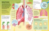  HUMAN BODY: OVER 100 BRAIN-BOOSTING ACTIVITIES THAT MAKE LEARNING EASY AND FUN 