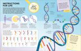  HUMAN BODY: OVER 100 BRAIN-BOOSTING ACTIVITIES THAT MAKE LEARNING EASY AND FUN 