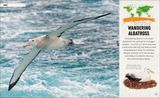  AMAZING ANIMAL JOURNEYS : THE MOST INCREDIBLE MIGRATIONS IN THE NATURAL WORLD 