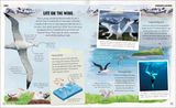  AMAZING ANIMAL JOURNEYS : THE MOST INCREDIBLE MIGRATIONS IN THE NATURAL WORLD 