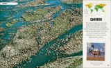  AMAZING ANIMAL JOURNEYS : THE MOST INCREDIBLE MIGRATIONS IN THE NATURAL WORLD 