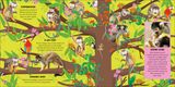  ANIMAL TEAMS : HOW AMAZING ANIMALS WORK TOGETHER IN THE WILD 