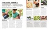  GROW HERBS : ESSENTIAL KNOW-HOW AND EXPERT ADVICE FOR GARDENING SUCCESS 