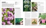  GROW HERBS : ESSENTIAL KNOW-HOW AND EXPERT ADVICE FOR GARDENING SUCCESS 