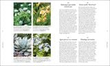  RHS A PLANT FOR EVERY DAY OF THE YEAR 