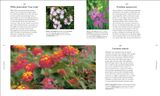  RHS A PLANT FOR EVERY DAY OF THE YEAR 