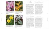  RHS A PLANT FOR EVERY DAY OF THE YEAR 