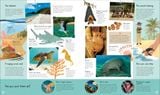  THE WORLD'S WILDEST PLACES : AND THE PEOPLE PROTECTING THEM 