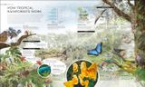  HABITATS 