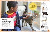  MY BOOK OF CATS AND KITTENS : A FACT-FILLED GUIDE TO YOUR FELINE FRIENDS 