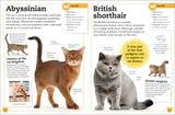  MY BOOK OF CATS AND KITTENS : A FACT-FILLED GUIDE TO YOUR FELINE FRIENDS 