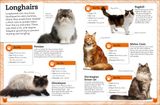  MY BOOK OF CATS AND KITTENS : A FACT-FILLED GUIDE TO YOUR FELINE FRIENDS 