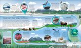  TIMELINES OF NATURE 