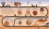  TIMELINES OF NATURE 