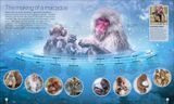  TIMELINES OF NATURE 
