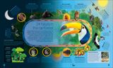  TIMELINES OF NATURE 