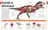  THE DINOSAUR BOOK 
