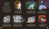  THE BOOK OF MYSTERIES MAGIC, AND THE UNEXPLAINED 