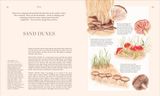  FUNGI 