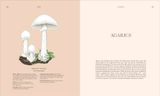  FUNGI 