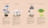  FUNGI 