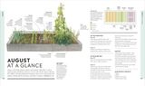  VEG IN ONE BED NEW EDITION : HOW TO GROW AN ABUNDANCE OF FOOD IN ONE RAISED BED, MONTH BY MONTH 